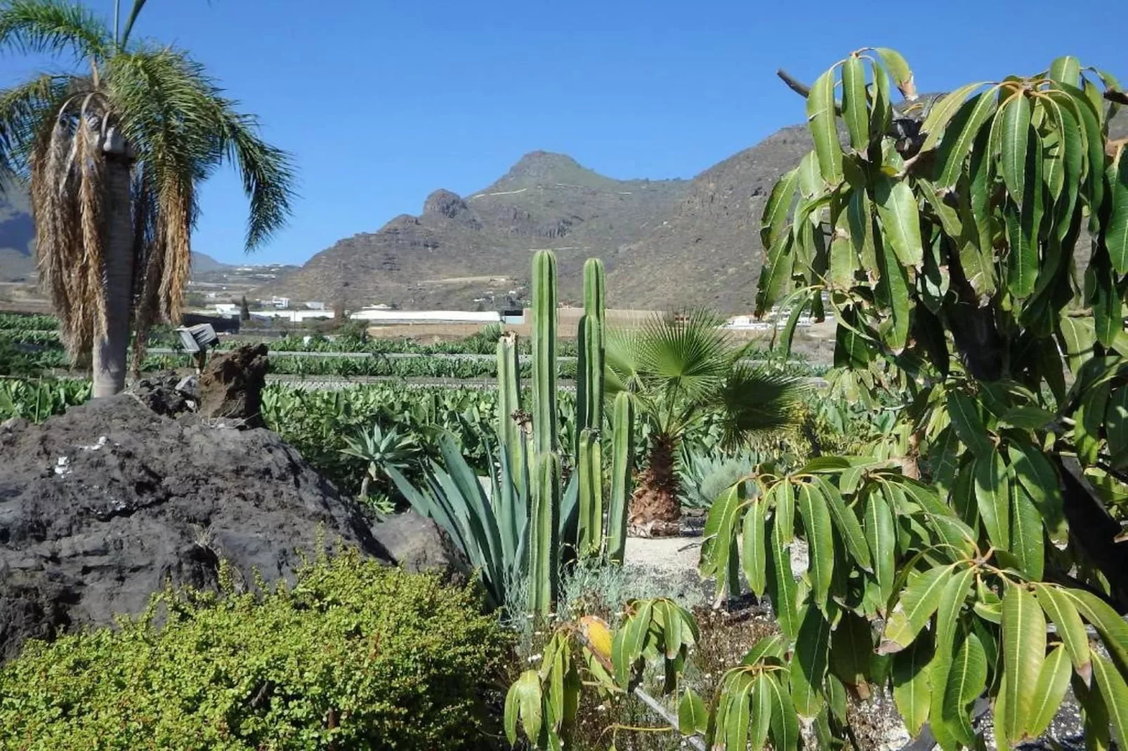 Apartamento en playa Las Carmenes-Atmosphere