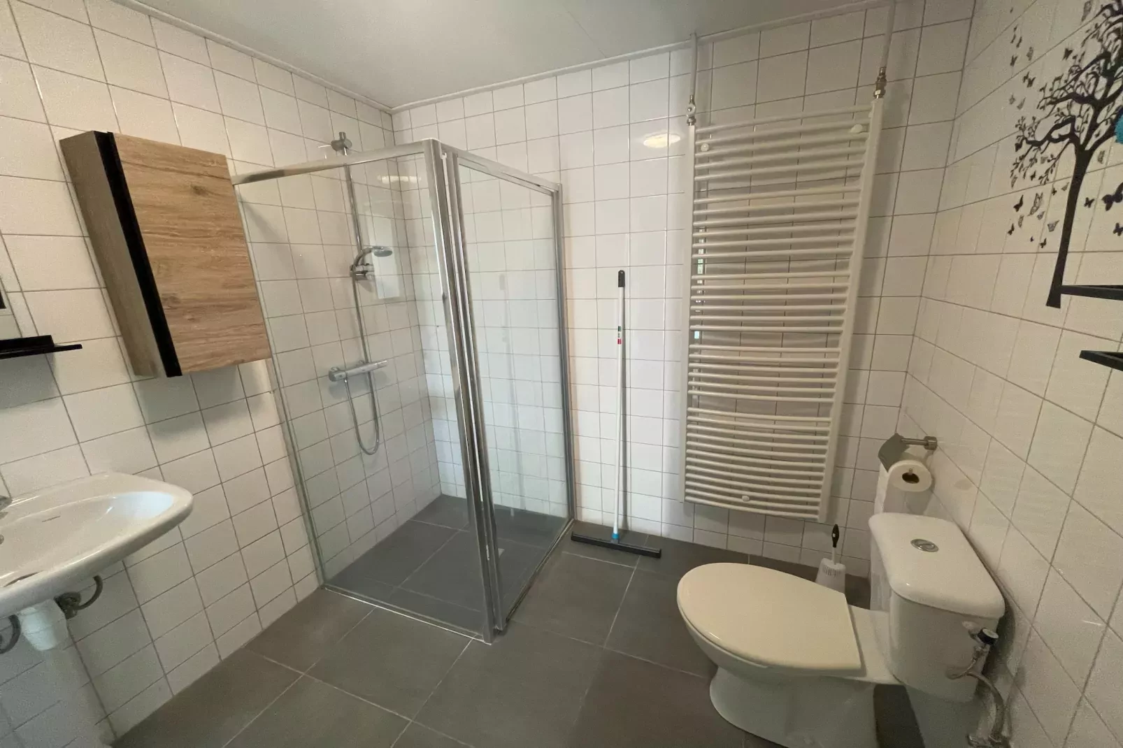 Elperhof Schoonloo 16B-Bathroom