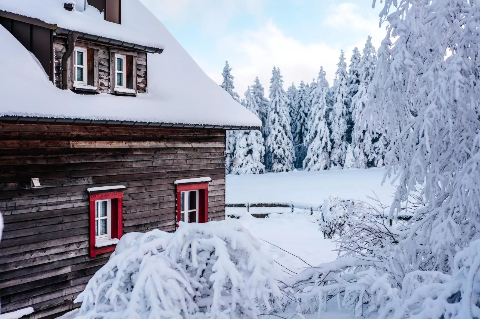 Ferienhaus Typ Premium Lodge Plus 4 Personen-Area winter 1km