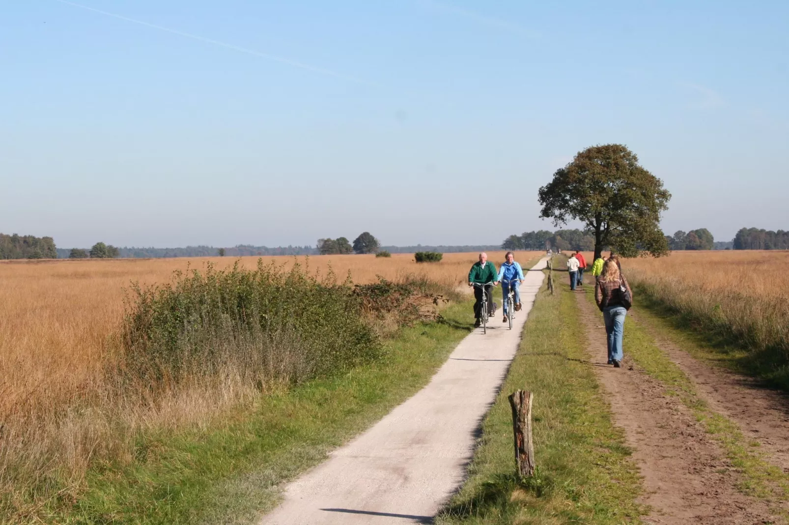 Marke van Ruinen 2-Areas summer 5km