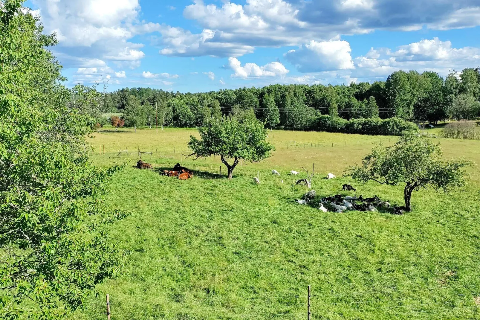 7 person holiday home in NYKVARN-By Traum-Not tagged