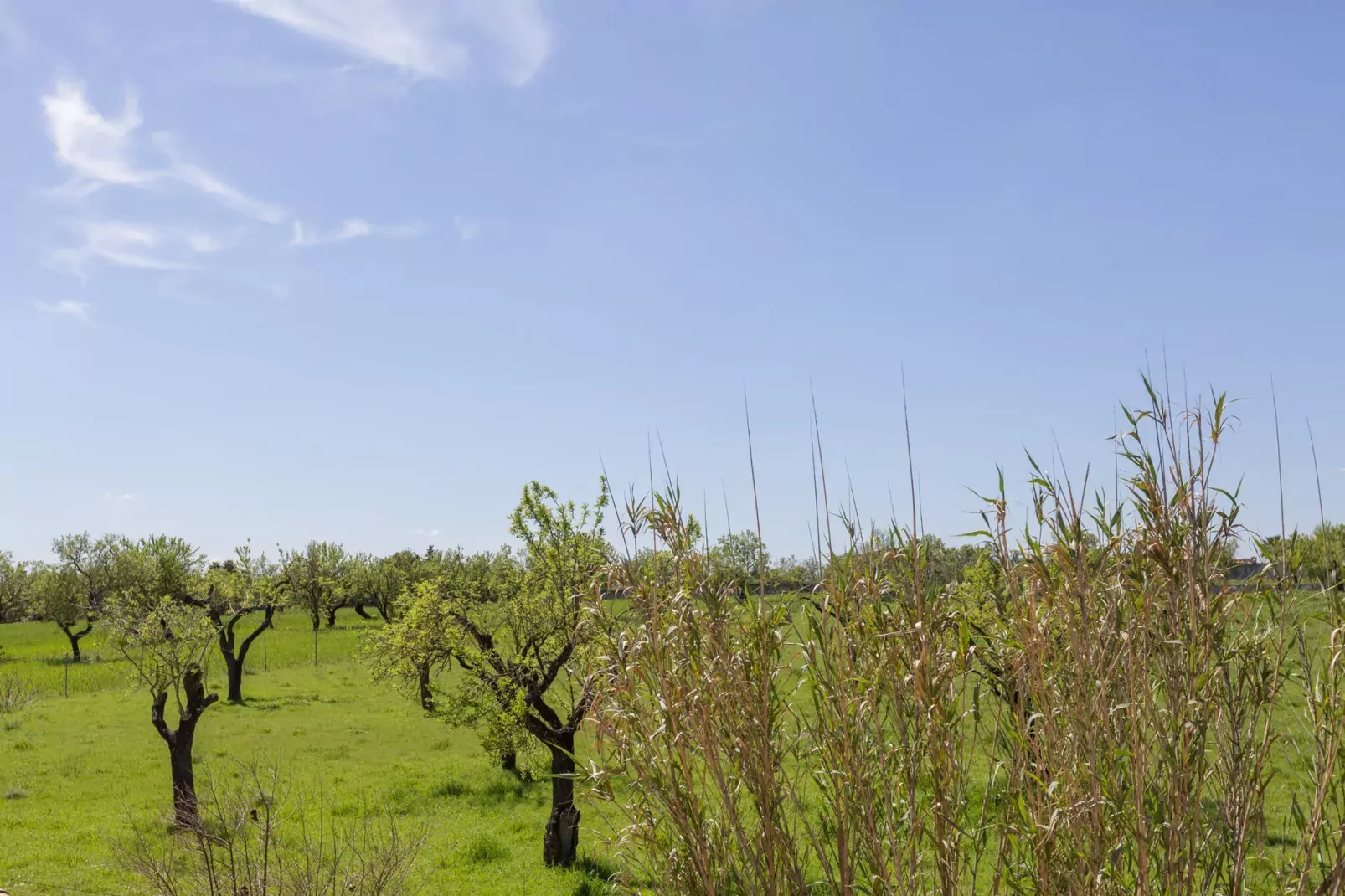 Finca Can Diego-Areas summer 5km