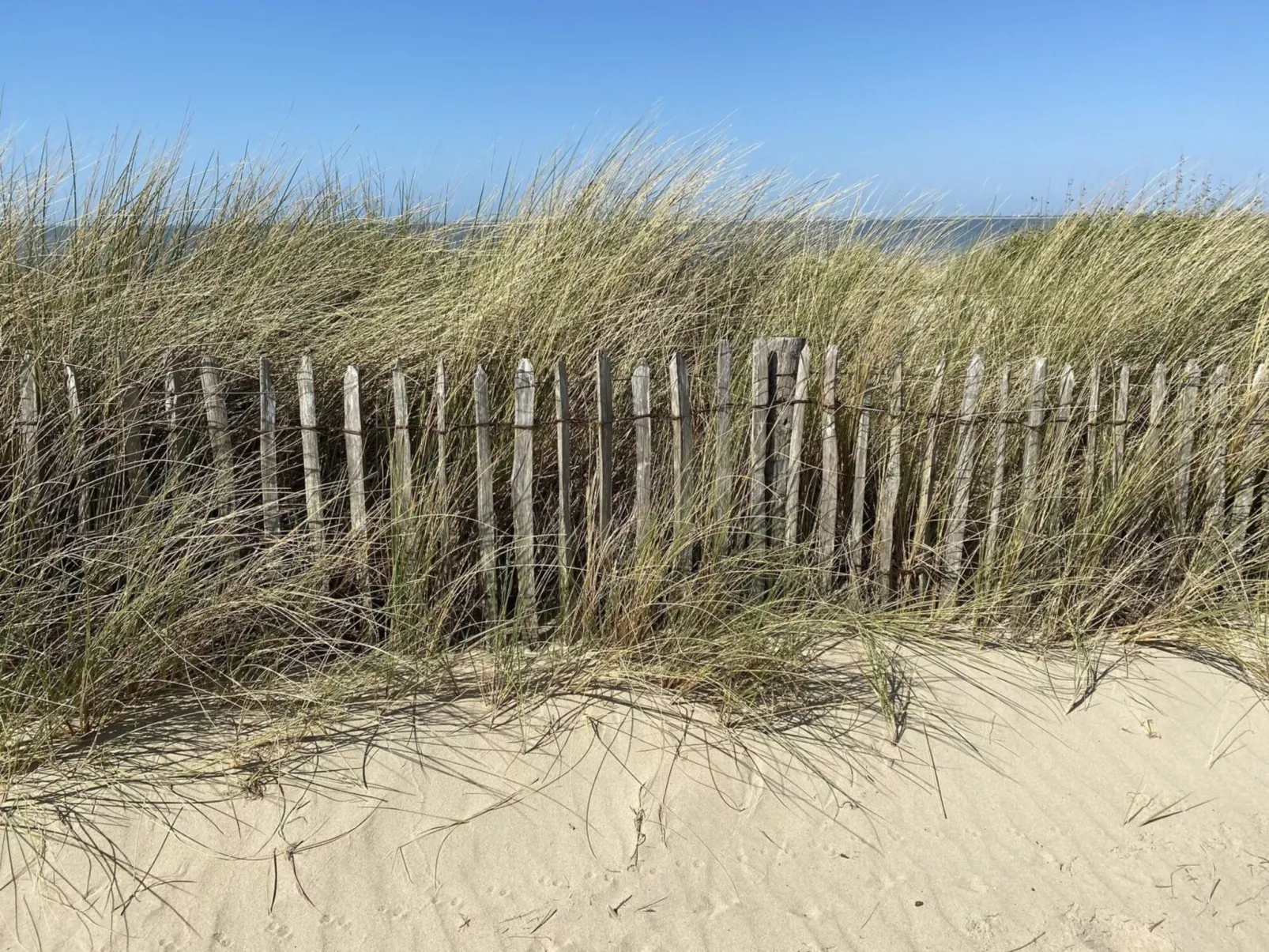 Seascape Wellness Nieuwvliet-Bad-Draußen