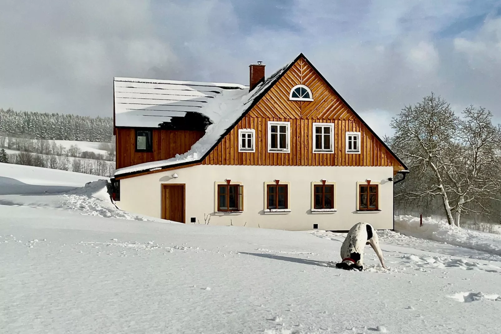 Víchová nad Jizerou LVV033-Außenbereich