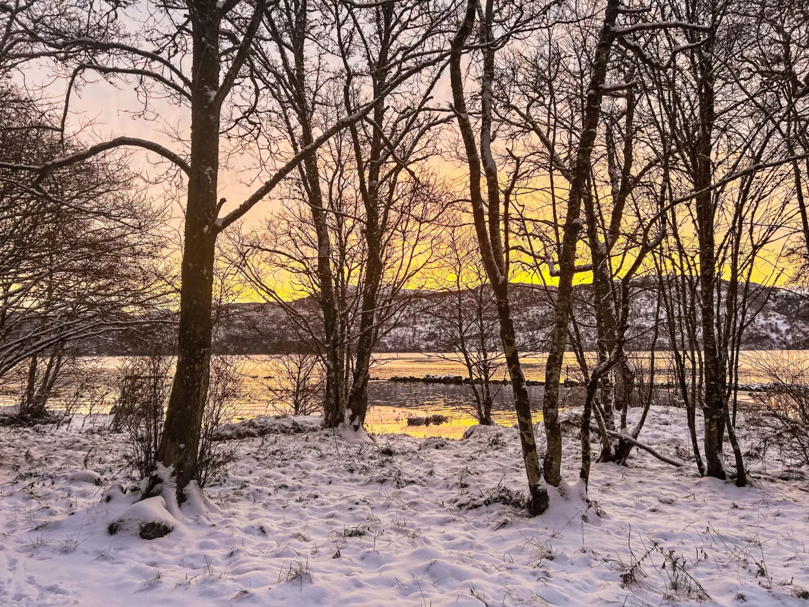 The Romantic Bothy-Outside