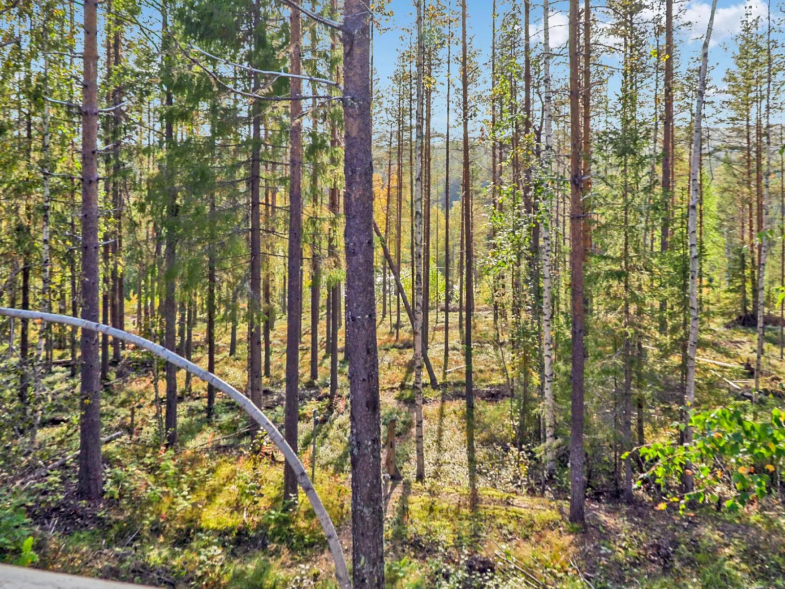Lövgårdenin lohimaja-Draußen