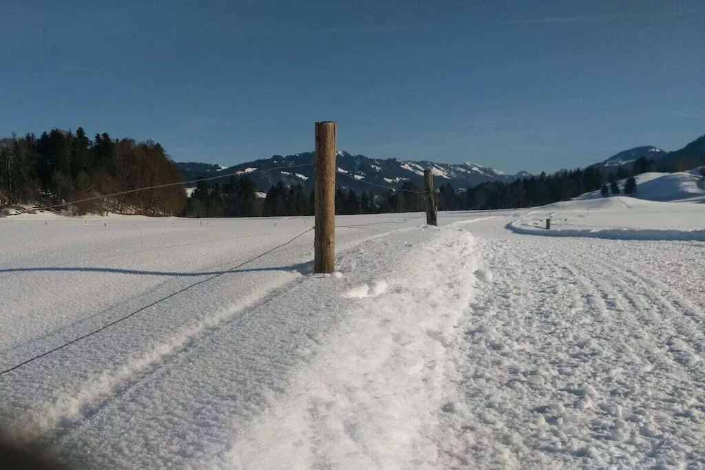 374386-Nicht getaggt