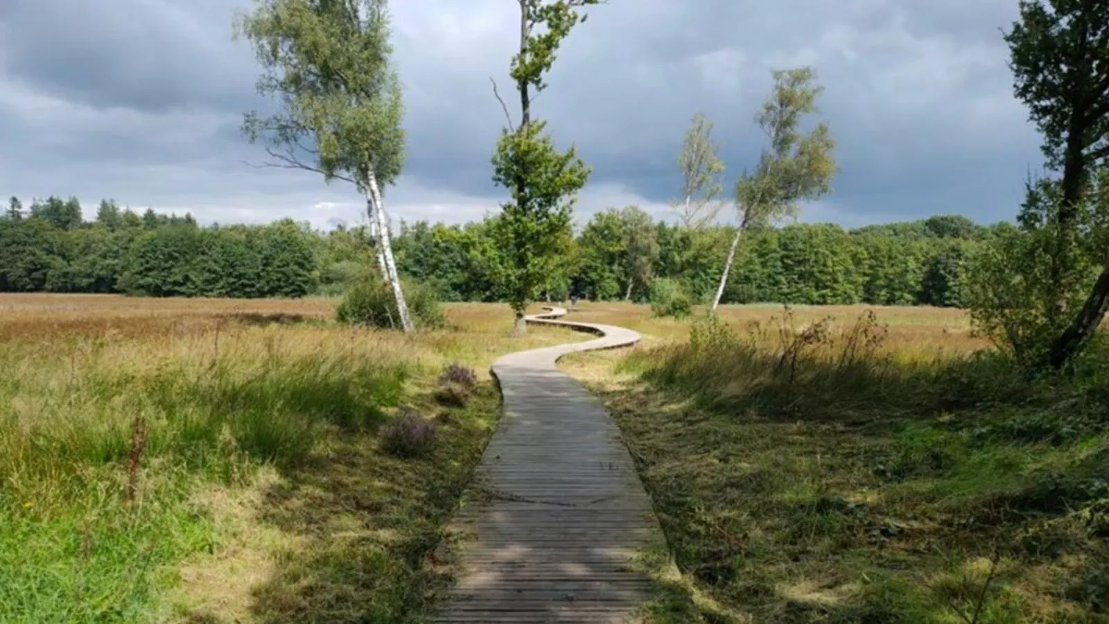 Uilenhof-Gebiete Sommer 1 km