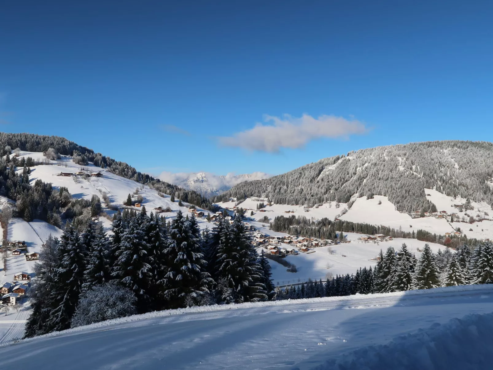 Fichtenblick-Dehors