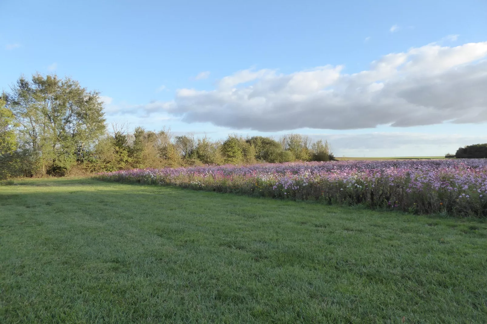 Gite 6 pers près de Châteauroux-Gebiete Sommer 5 km