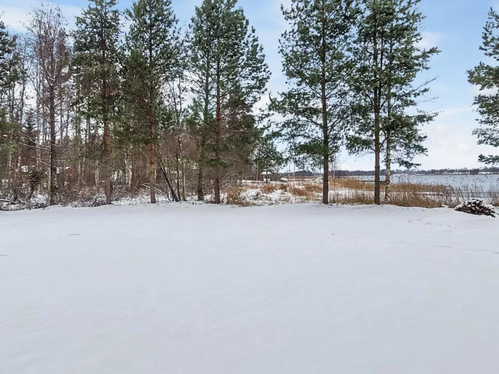 Ruokovirran mökki-Outside