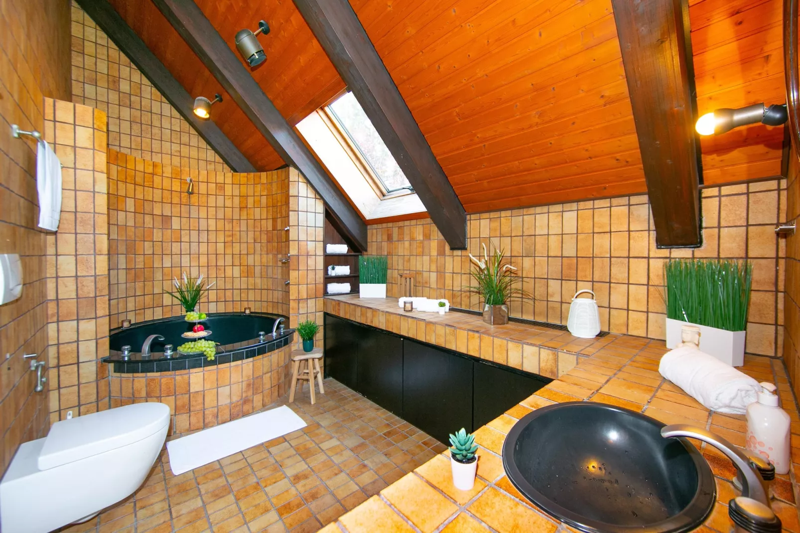 Villa Weitersburg mit indoor Pool-Wellness