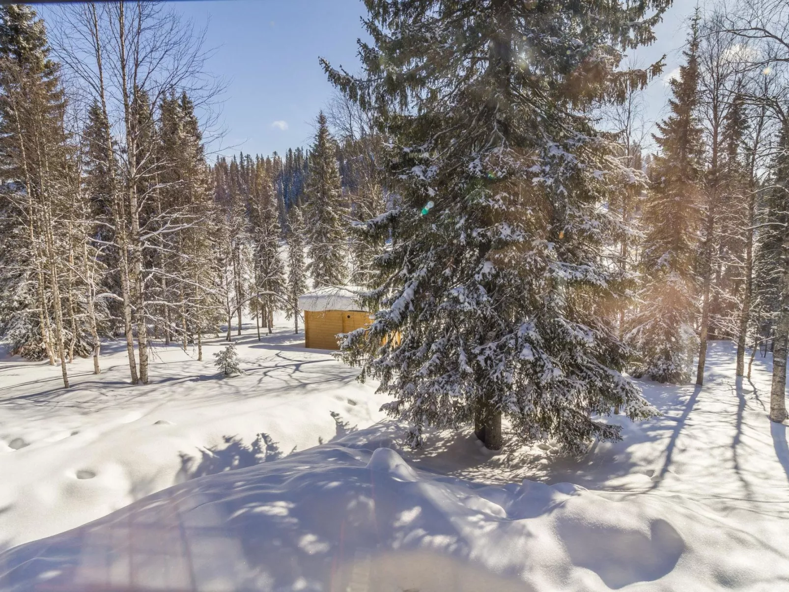 Muuttohaukka-Outside