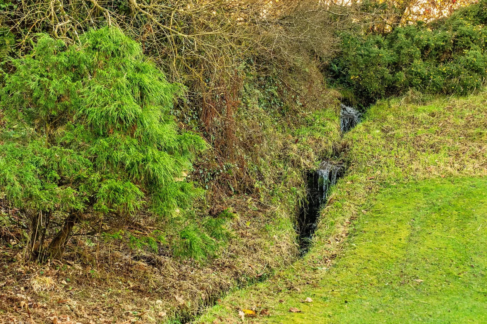 Jenny Wren-Außenbereich
