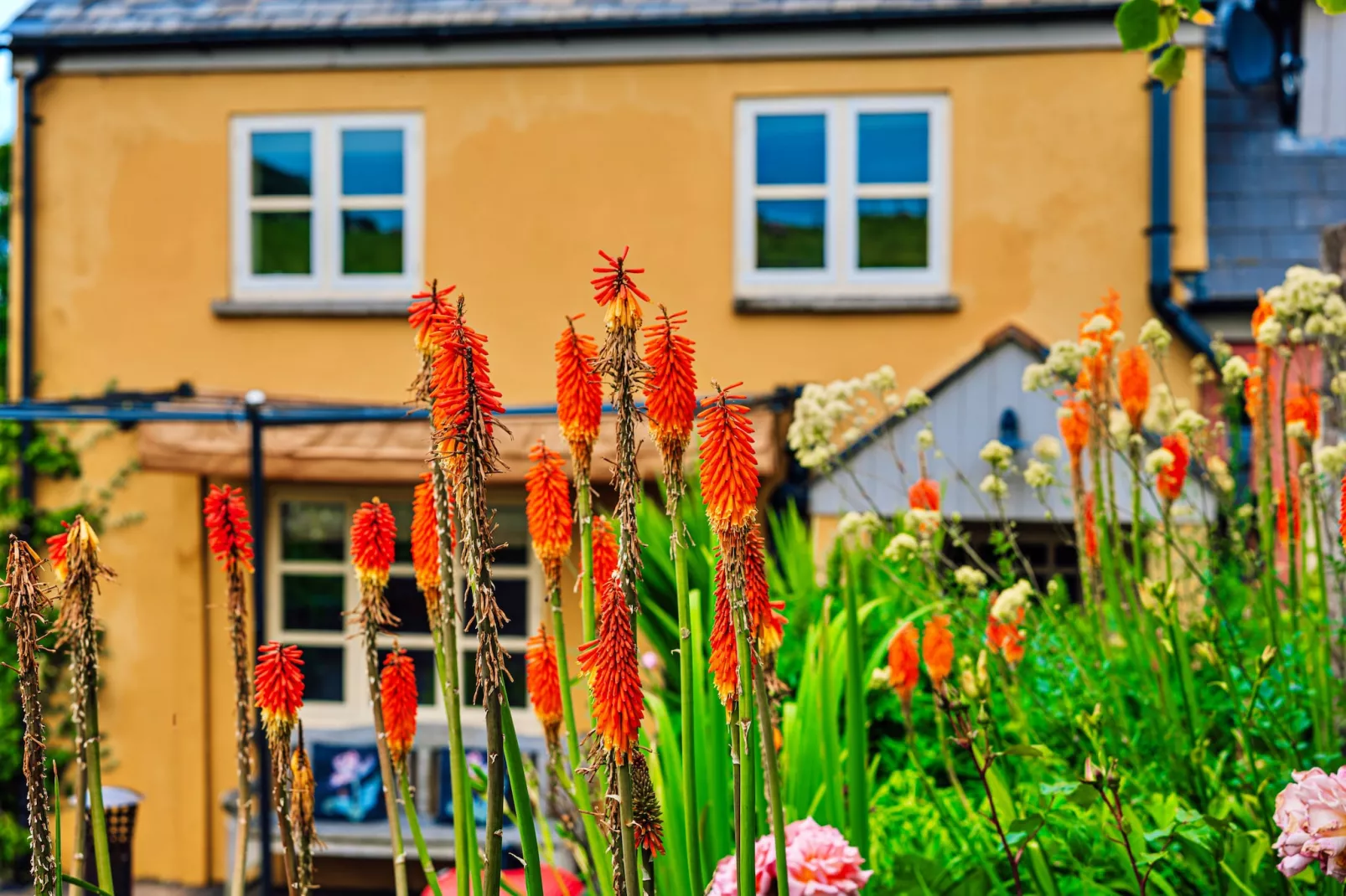 Beili Glas Cottage-Outdoor