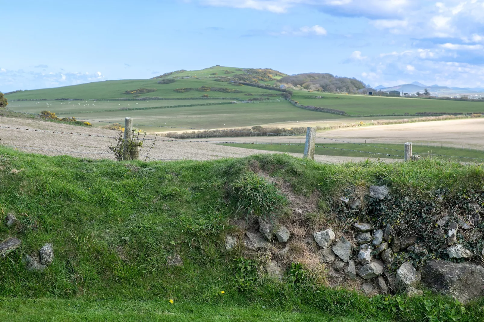 Bryn Du-Areas summer 1km