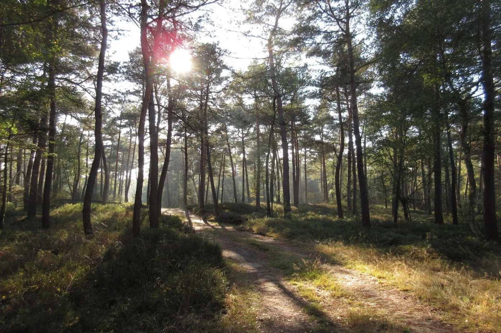 Chalet Bosuil-Gebiete Sommer 20 km