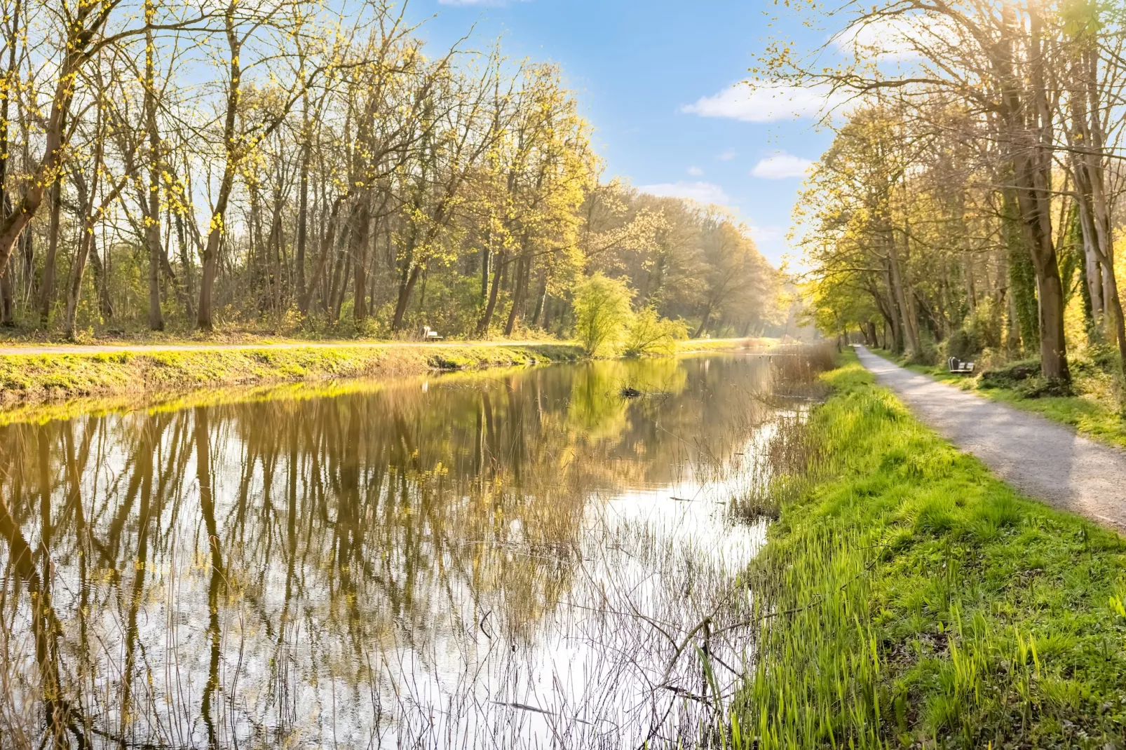 't Bloemenhof-Zones d'été à 5 km