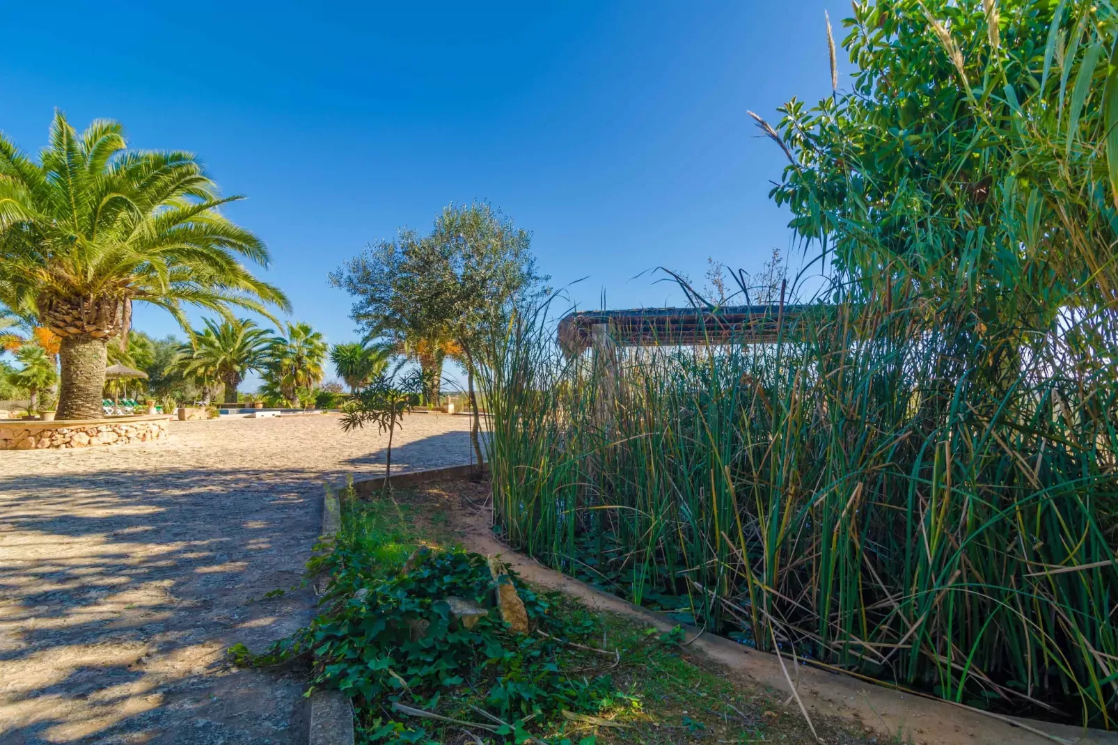 Es TurÓ - Exterior in summer