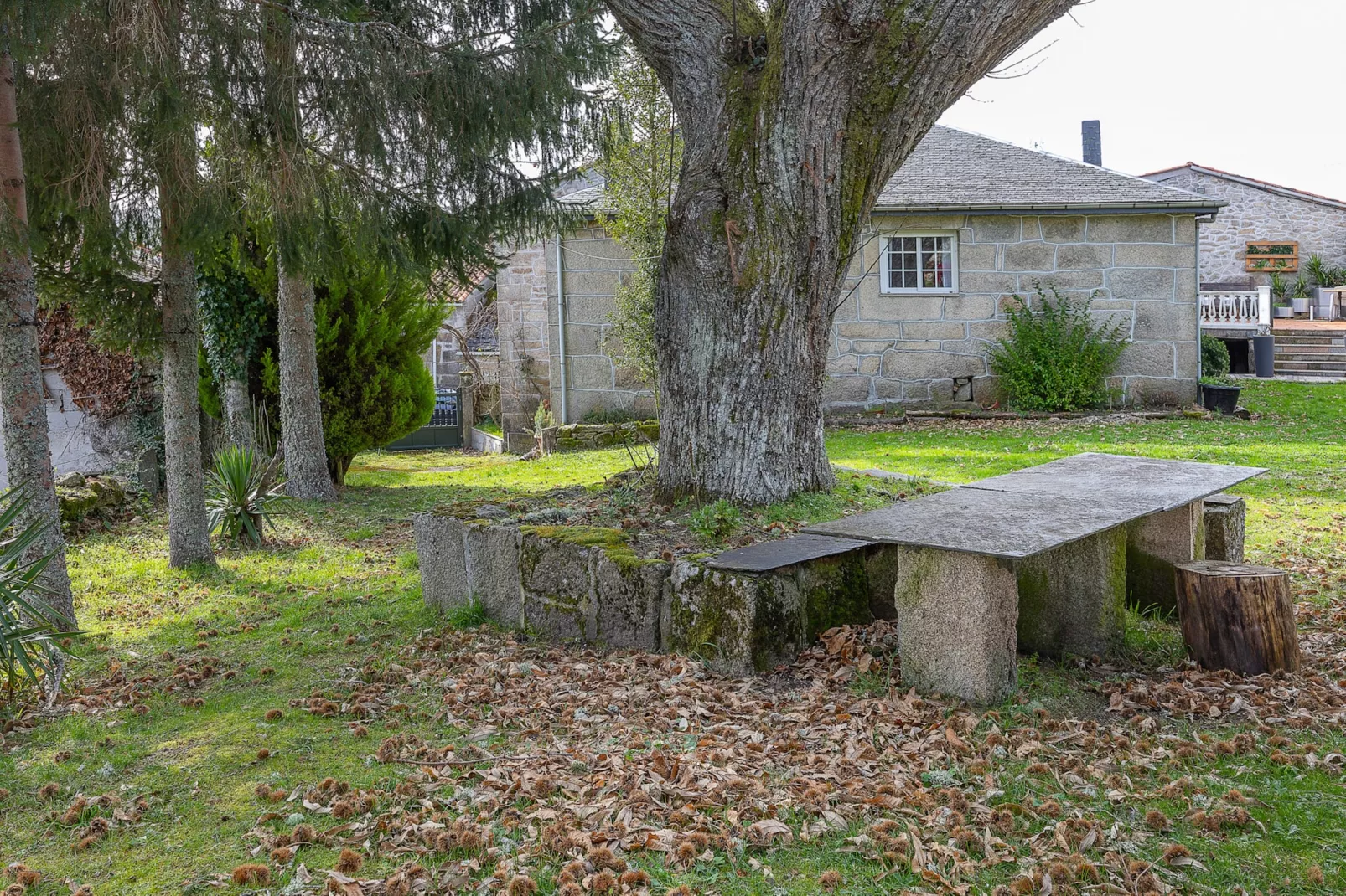 YourHouse A Casa Dos Cregos-Jardin d'été