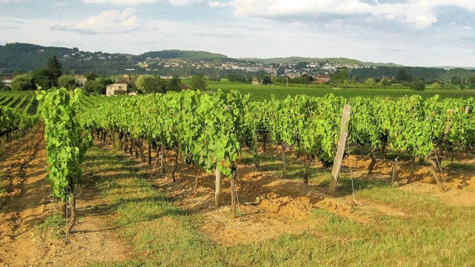 Villa Cethi-Areas summer 5km