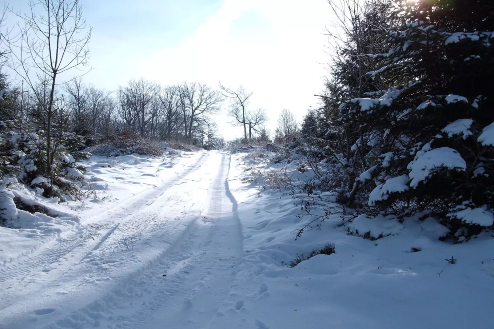34662-Area winter 5km