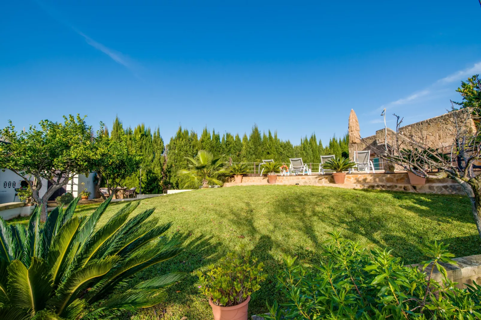 Sa Vinya Vella-Outdoor