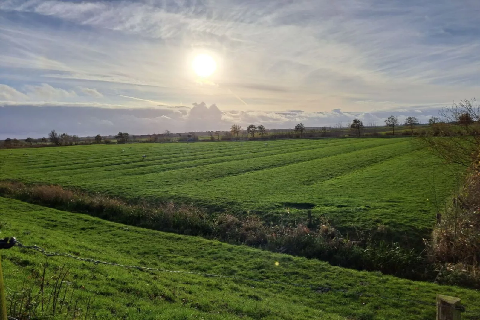 530377-Gebiete Sommer 5 km