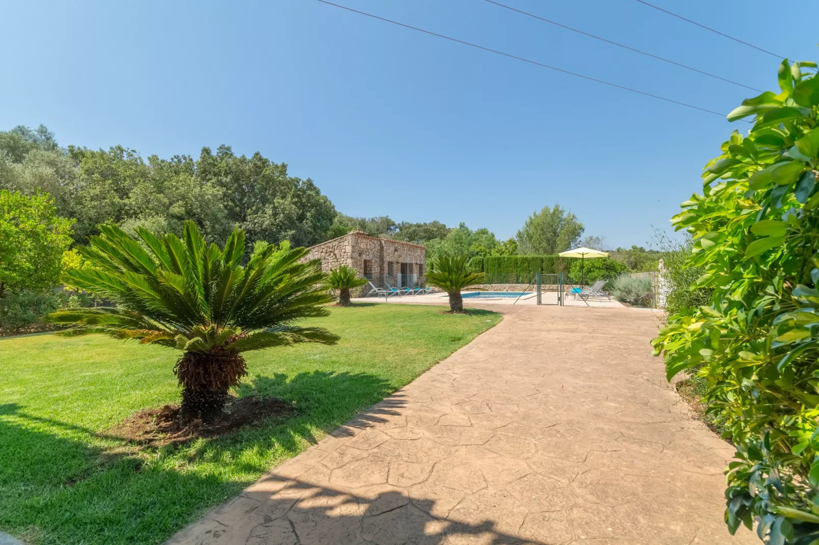 Buitre negro, Finca 5StarsHome Mallorca-Outdoor