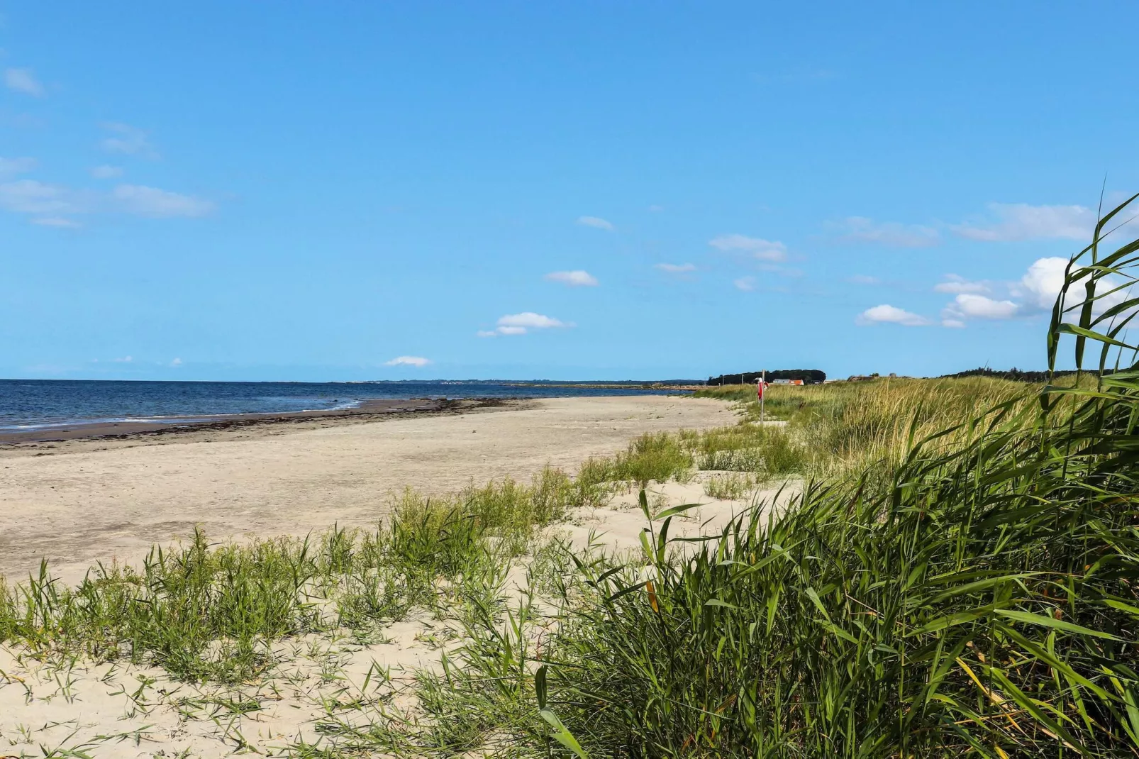 4 Sterne Ferienhaus in SKÅNE/VEJBYSTRAND-Nicht getaggt