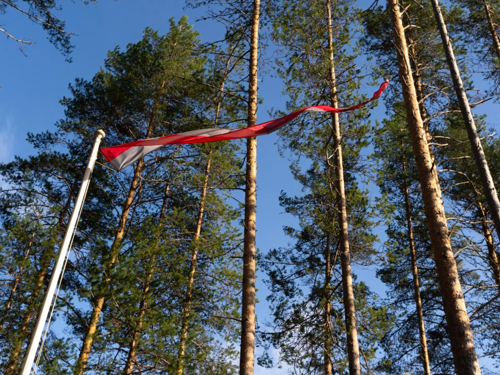 Villa käpytikka-Outside