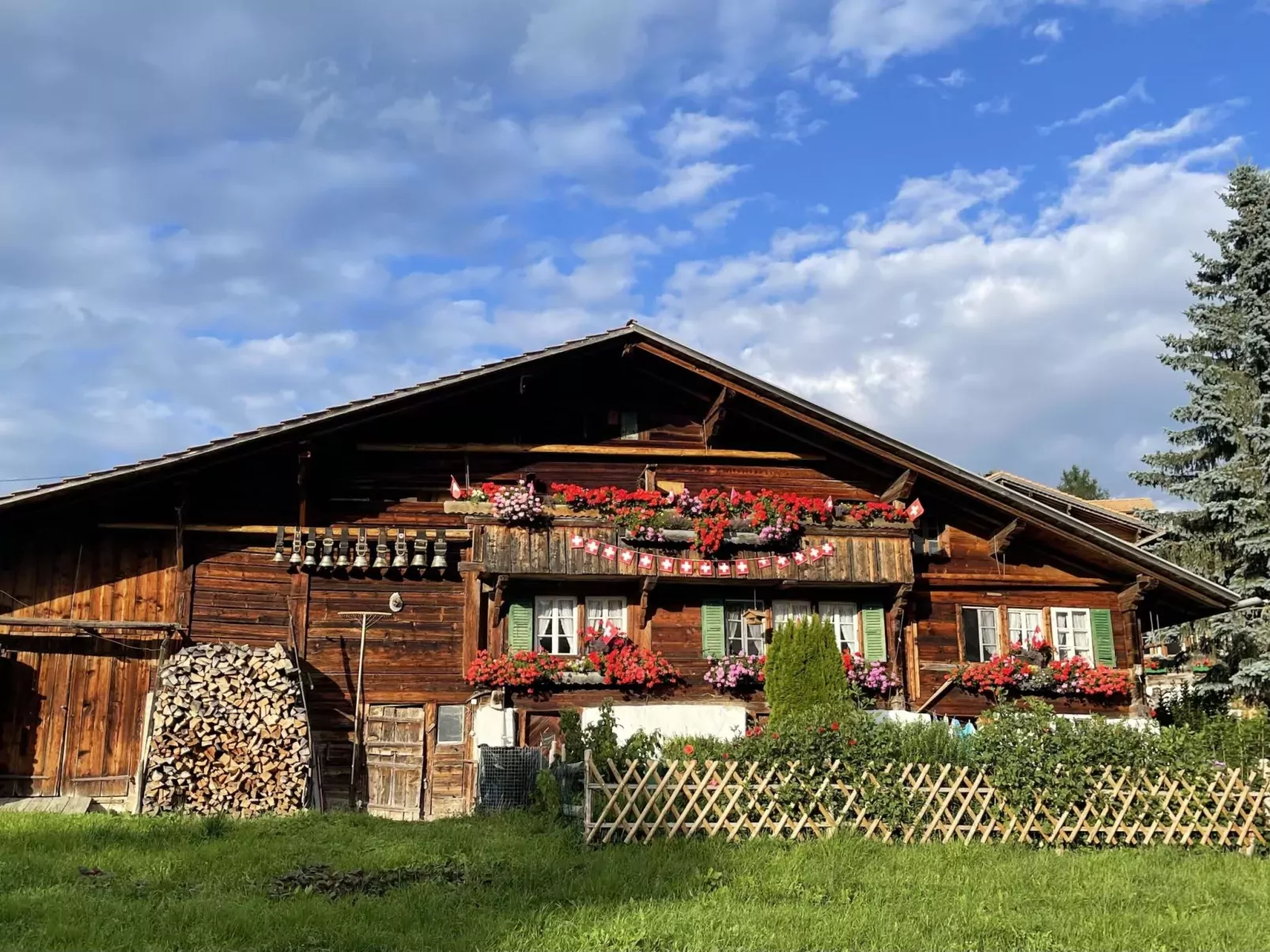 Panoramaferienwohnung Waldkircher-Draußen
