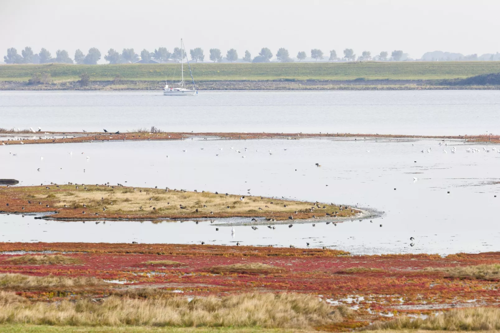 Harbour Village 1-Gebiete Sommer 5 km