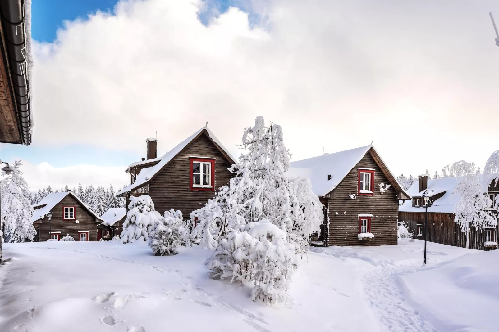 Ferienhaus Typ Premium Lodge Plus 4 Personen-Area winter 1km