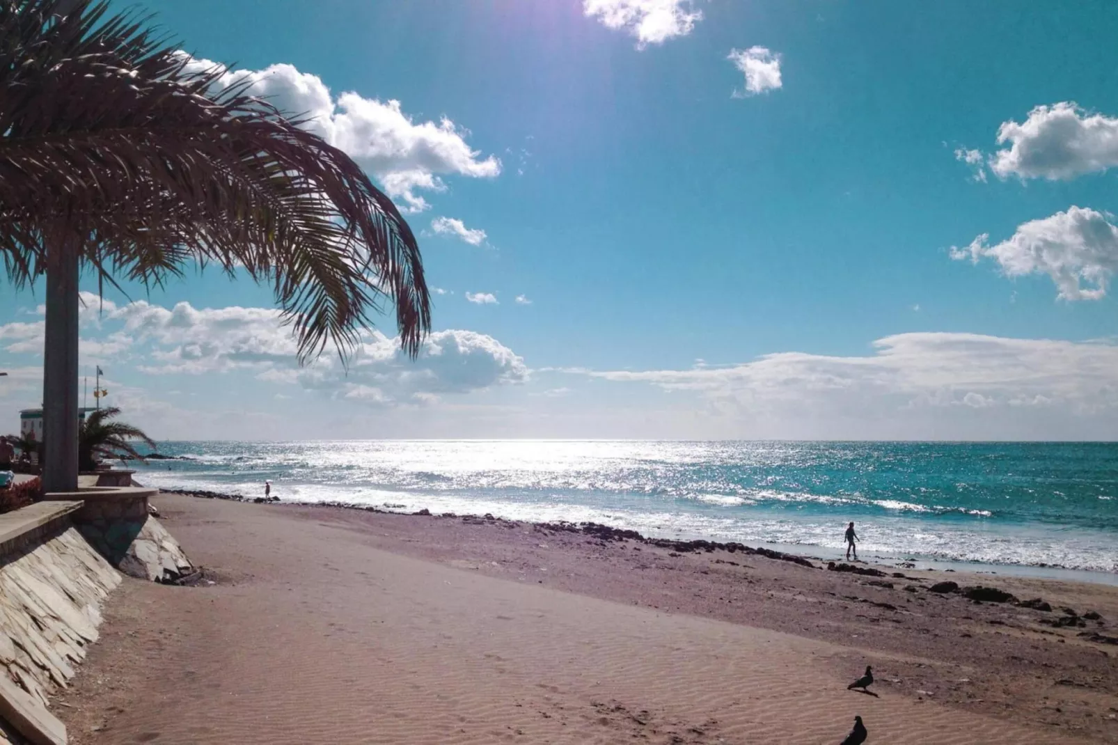 Apartamento de Playa Siesta 21 San Augustin - 2 Pax-Areas summer 20km