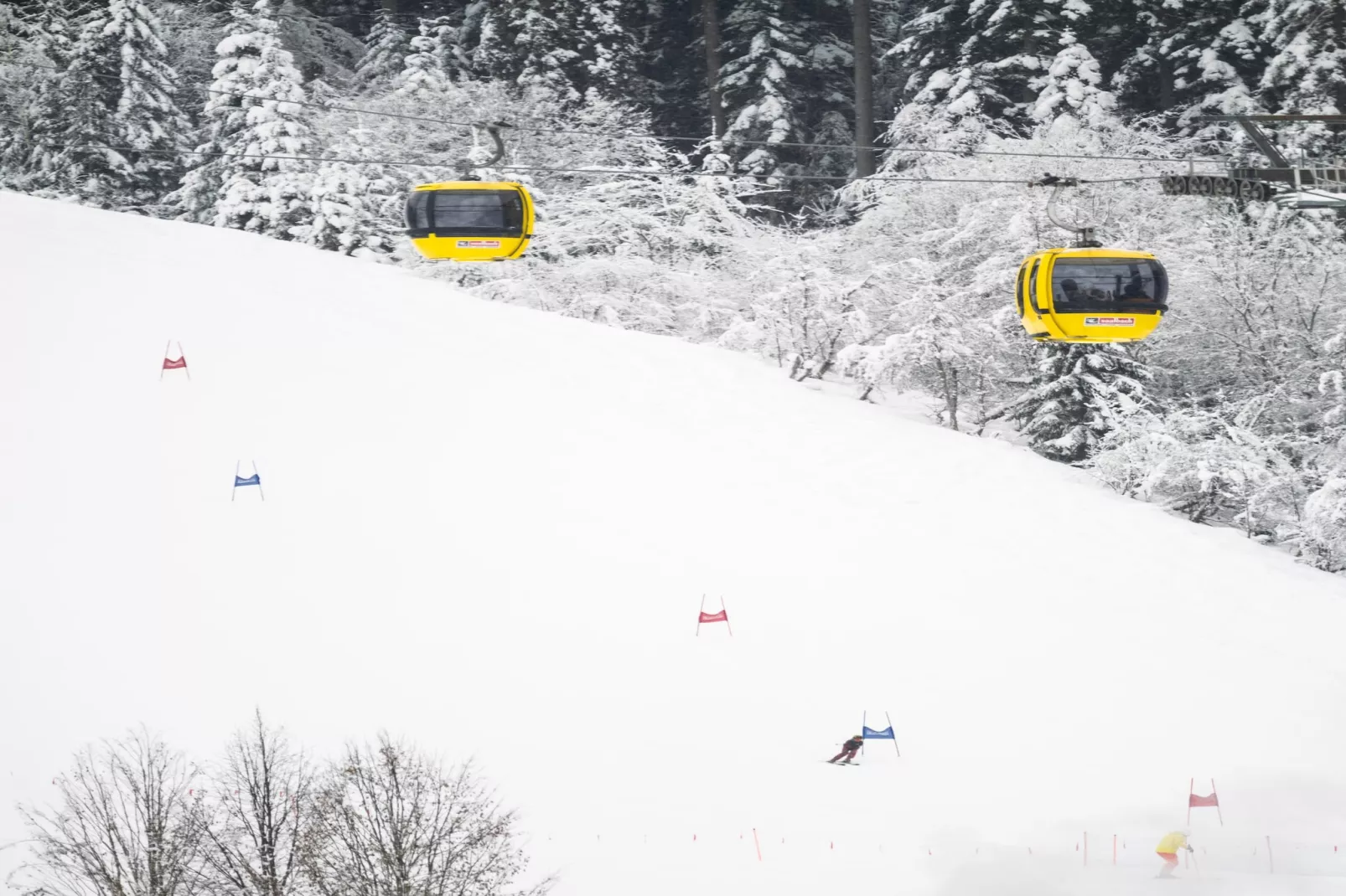 Alpenstyle Resort Fieberbrunn FB2-Gebiet Winter 5 km