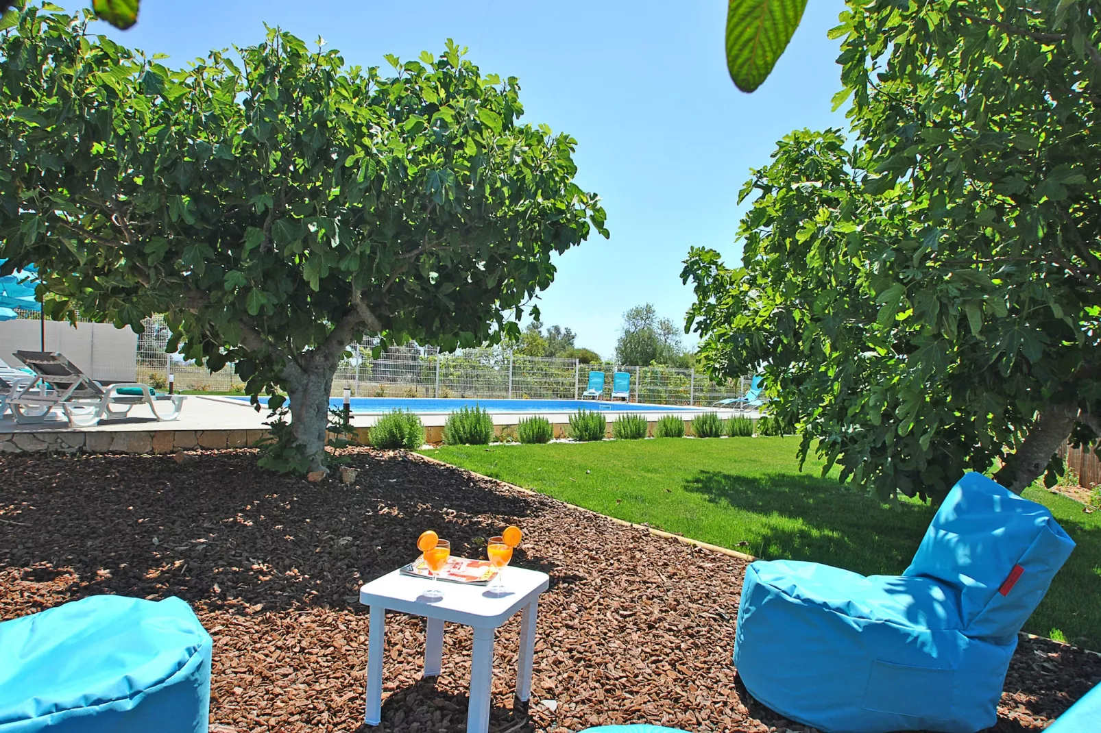Villa Zanzibar-Gardens summer