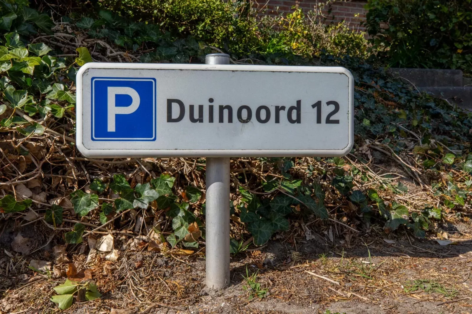 Appartement 'Duinoord' - Duinweg 117-12  Zoutelande-Atmosphere