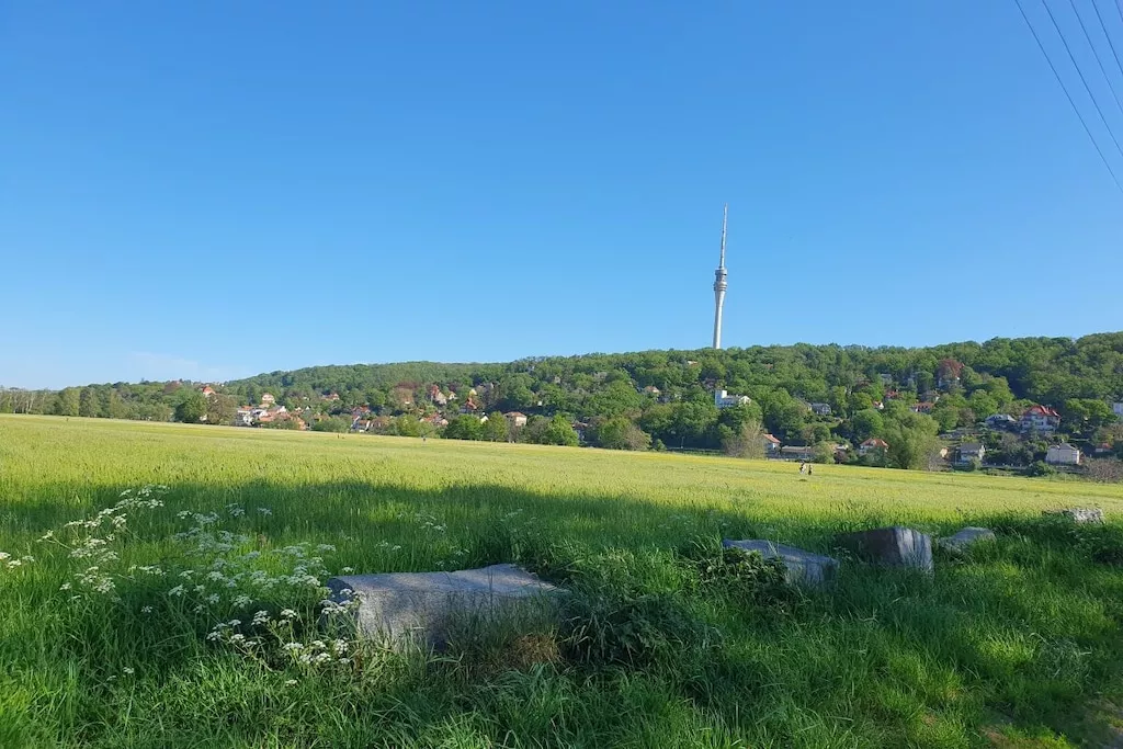 491540-Nicht getaggt