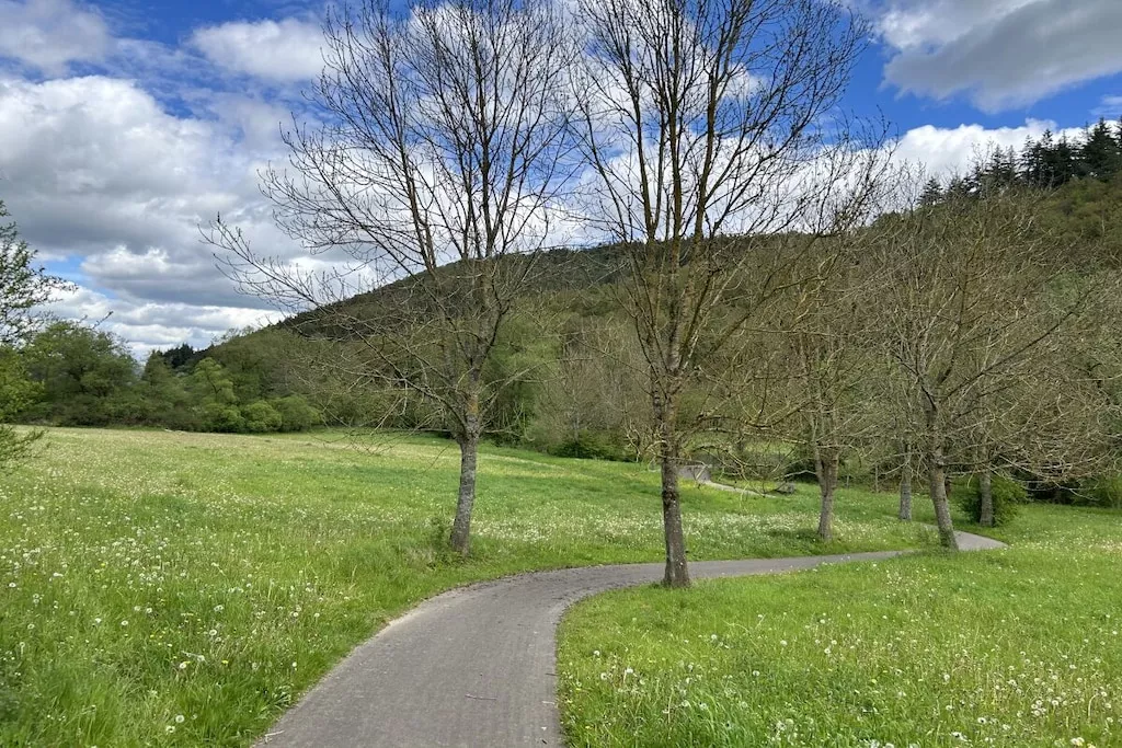 493676-Nicht getaggt