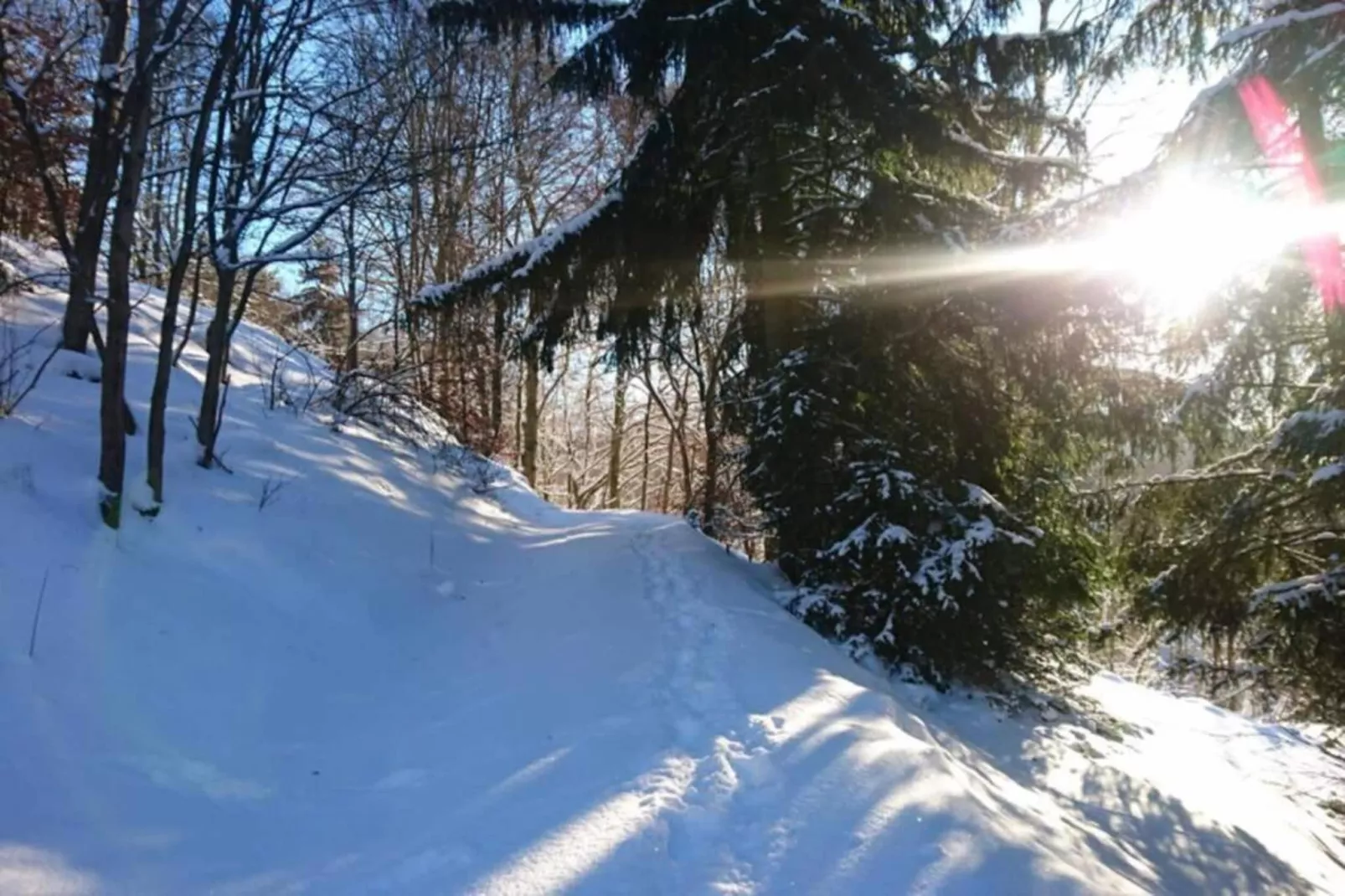 Altes Bootshaus 1-Zones d'été à 20 km