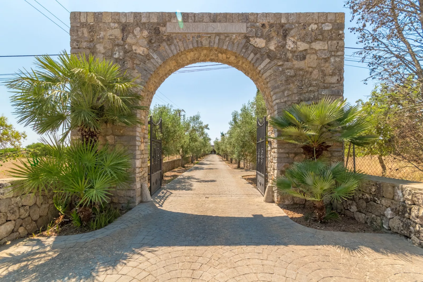 Buitre negro, Finca 5StarsHome Mallorca-Outdoor