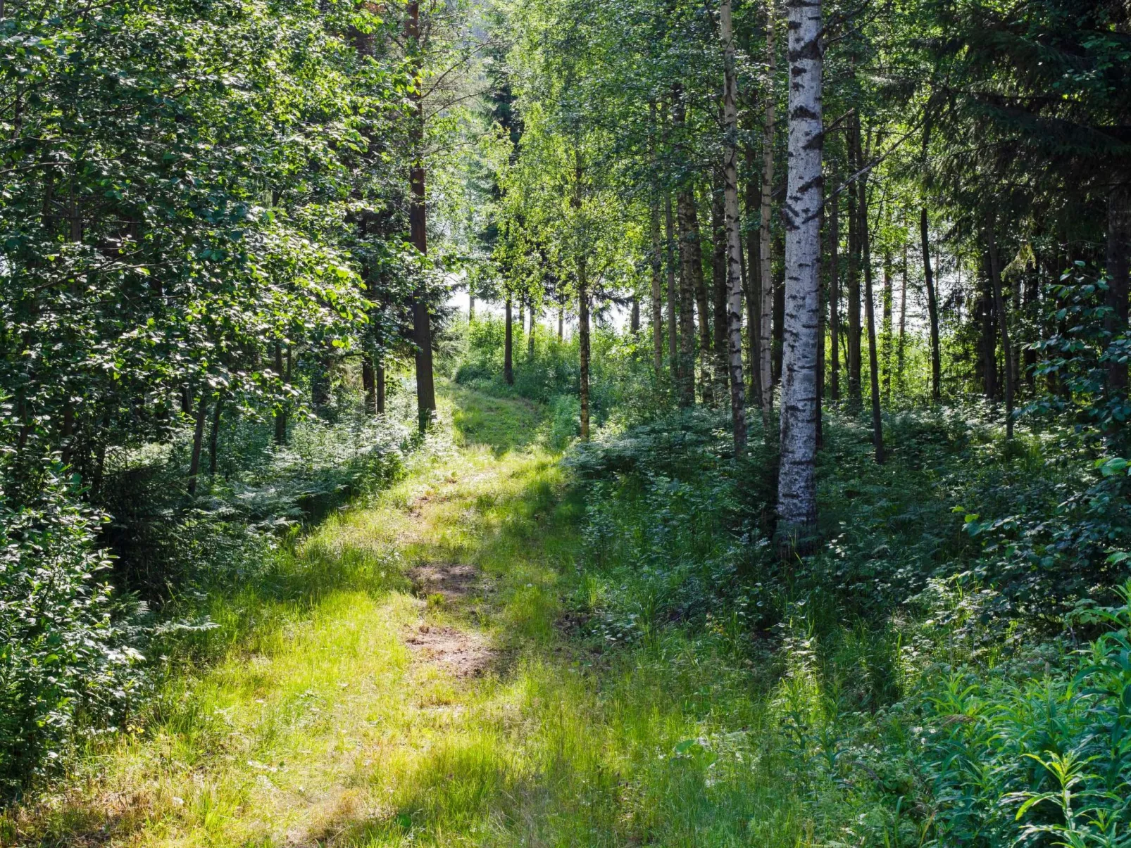 Käränkkä-Outside