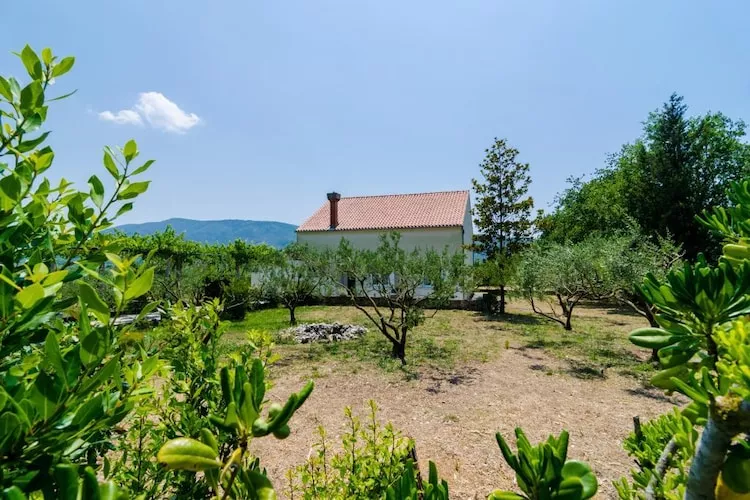 Holiday Home Field of Olives - Two Bedroom Holiday Home with Terrace-Aussicht
