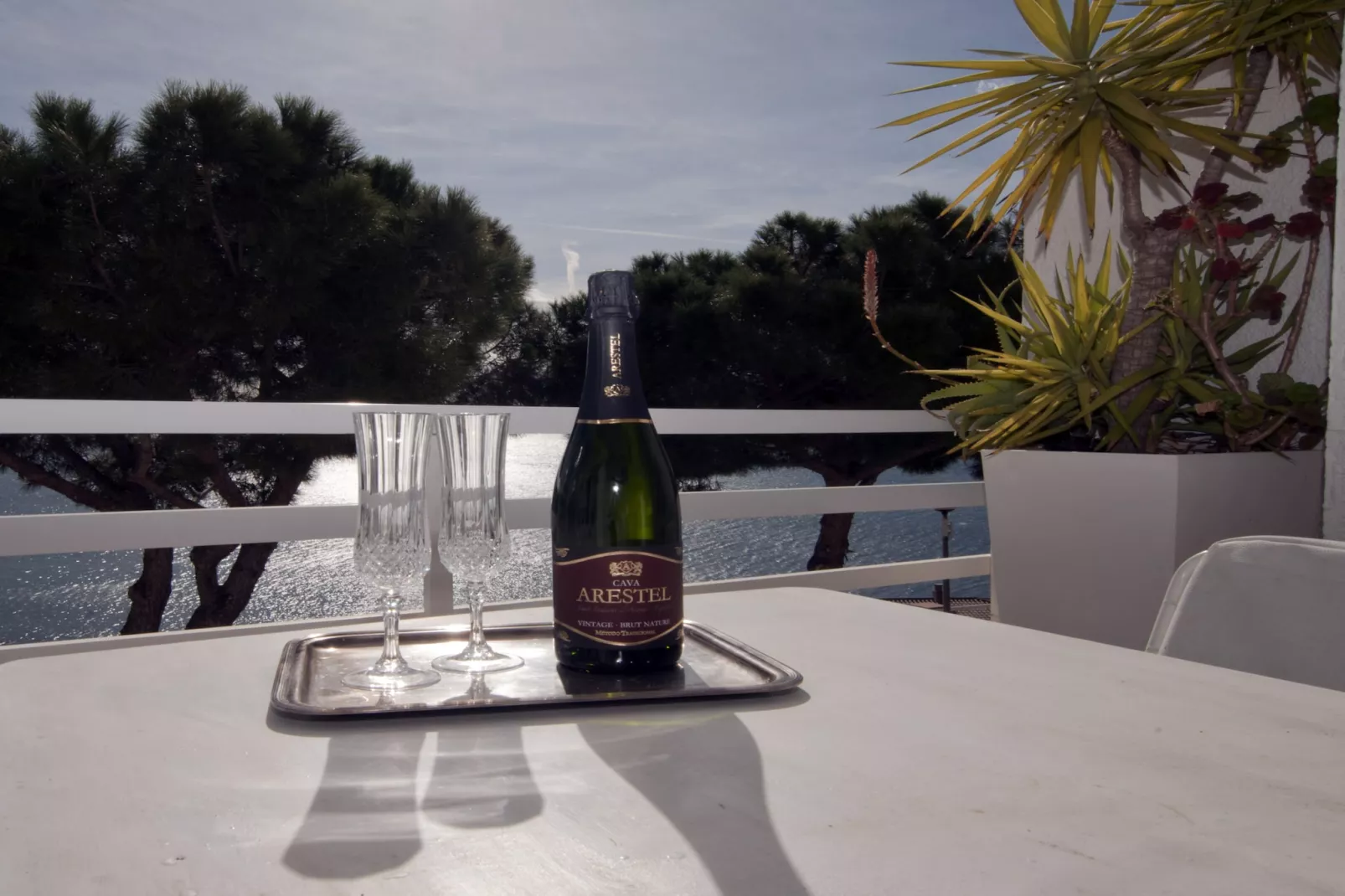 1178 NEPTUNO vista Mar-Terrace