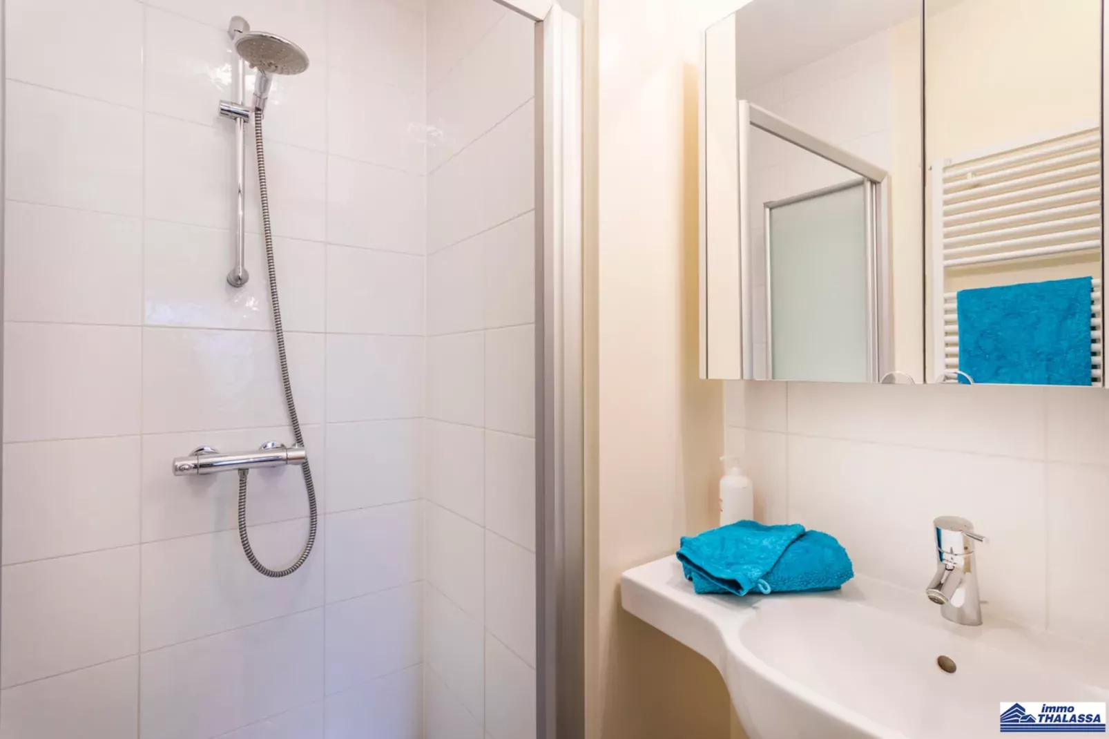 Amena 0101 + garage 14-Salle de bain