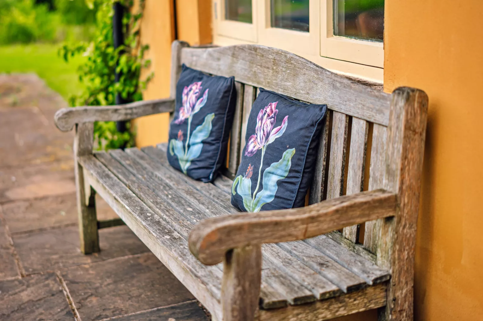 Beili Glas Cottage-Outdoor