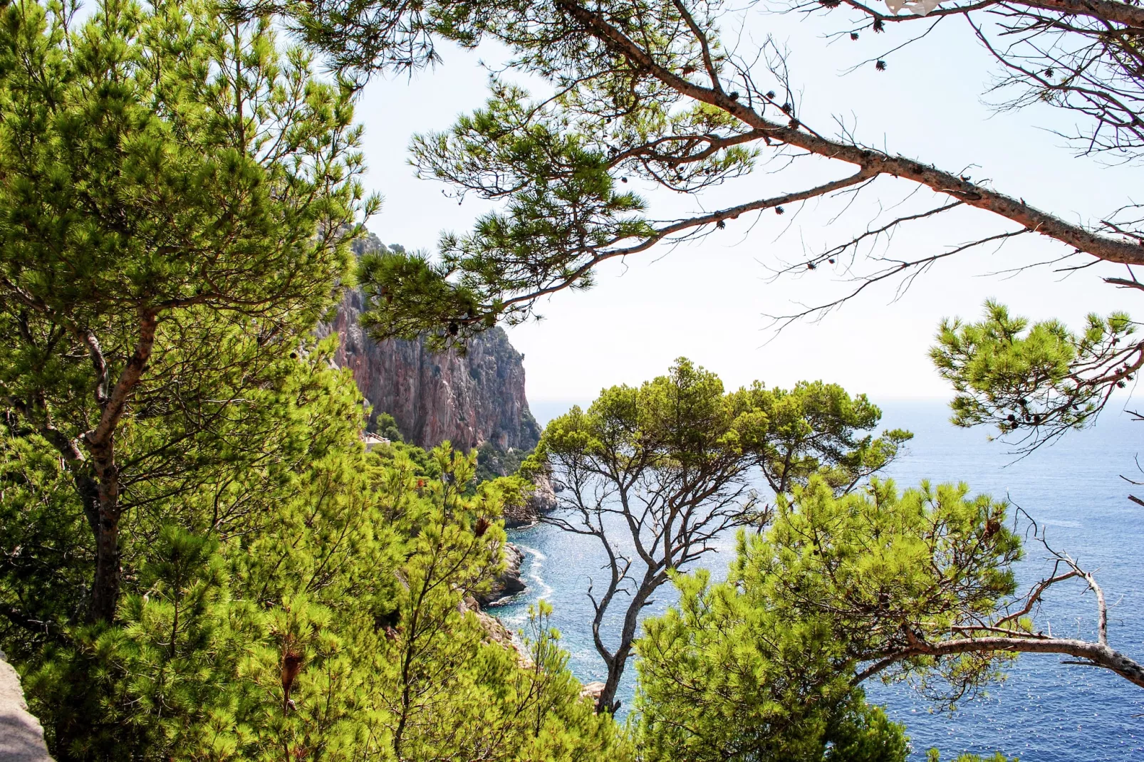 Wundeschönes & Nachhaltiges Casa Cap Vermell-Gebiete Sommer 1 km