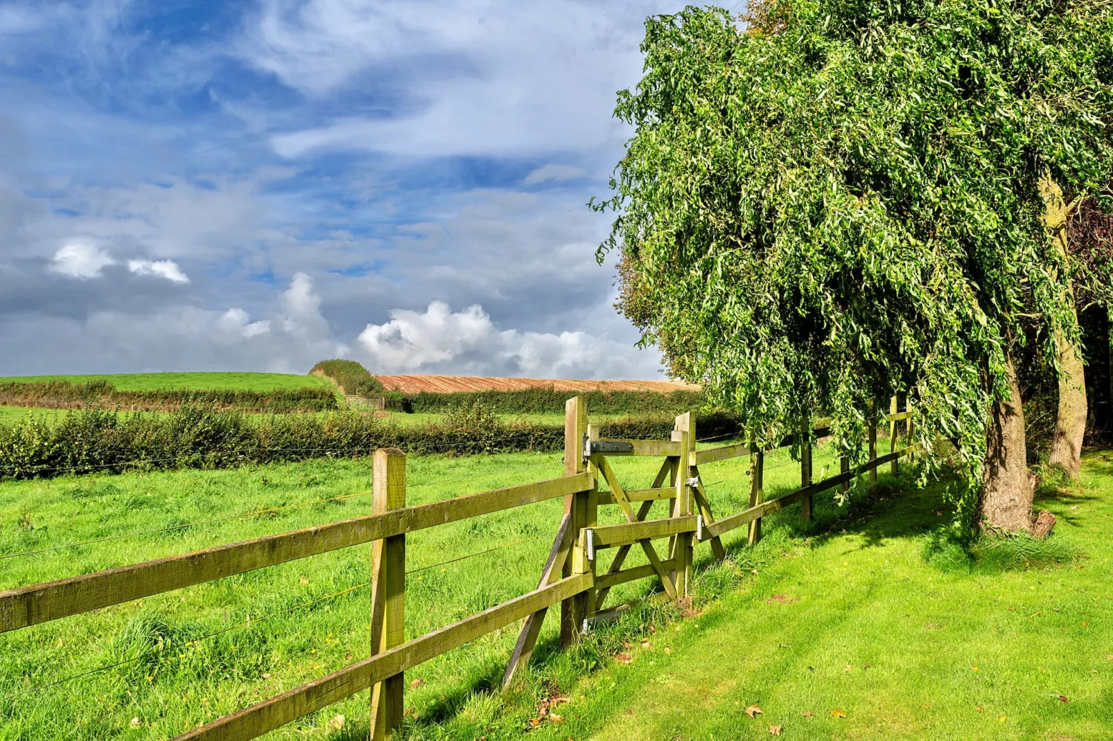 The Barn at Prowses Farm-Gardens summer