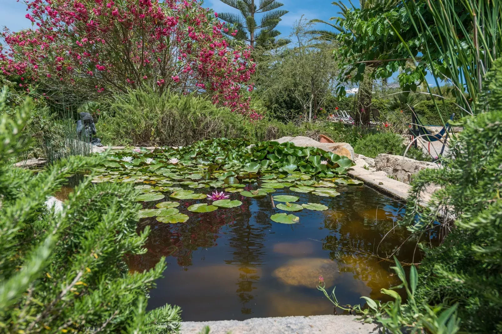Casa Angela - Exterior in summer